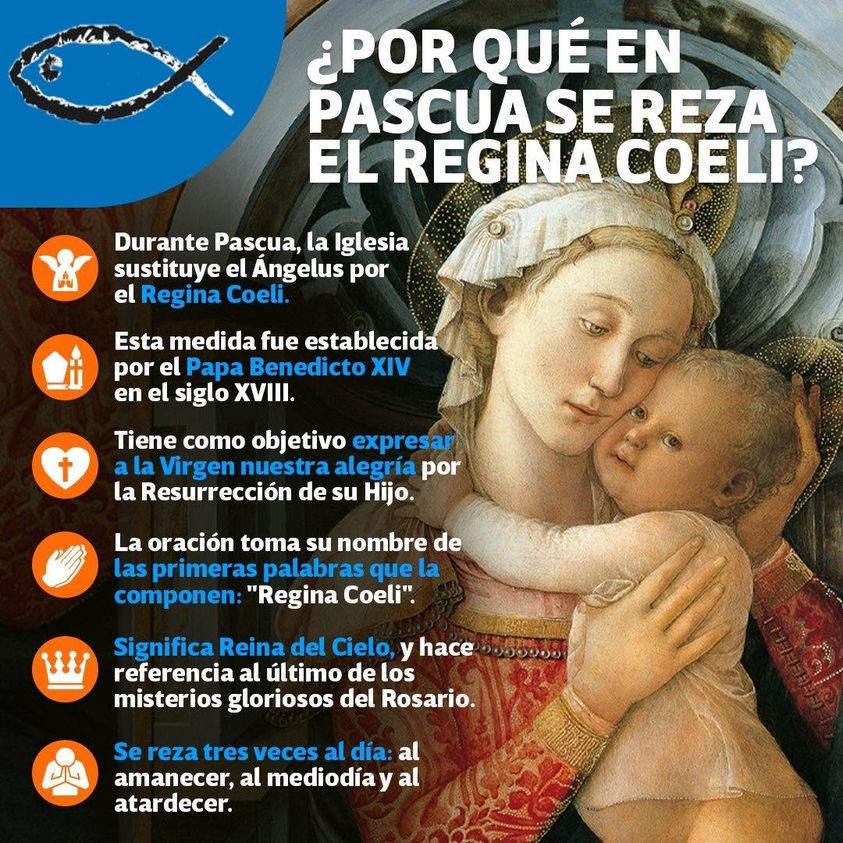 Vive Fissep En Pascua Reza El Regina Coeli 3013