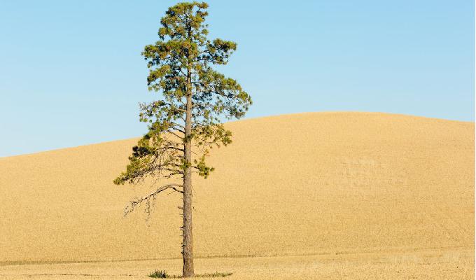 Aprende maneras para hacer pausas activas