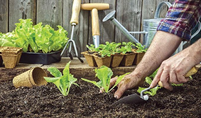 Aprende maneras para hacer pausas activas